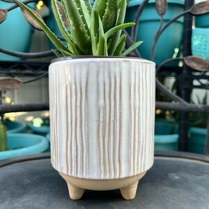 Ashland Striped beige and cream color Ceramic Planter